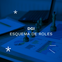 esquema de roles DGI